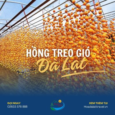 Hồng treo gió Đà Lạt