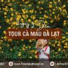 Tour Cà Mau Đà Lạt 3 ngày 2 đêm