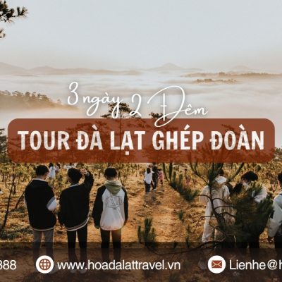 Tour Đà Lạt 3 ngày 2 đêm ghép đoàn