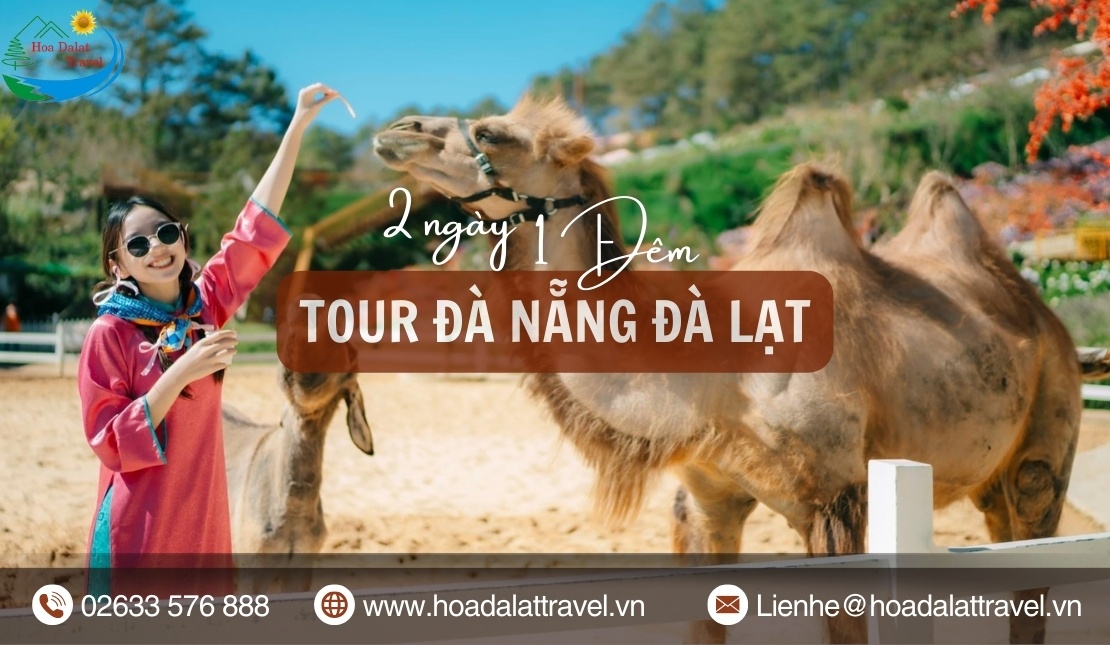 Tour Đà Nẵng Đà Lạt 2 ngày 1 đêm