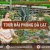 Tour Hải Phòng Đà Lạt 3 ngày 2 đêm