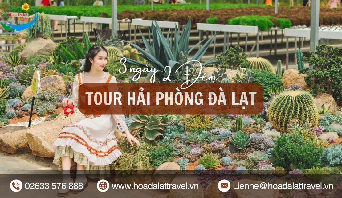 Tour Hải Phòng Đà Lạt 3 ngày 2 đêm