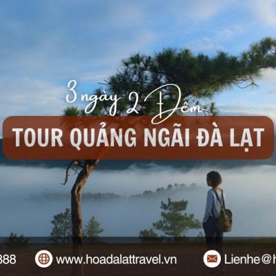 Tour Quảng Ngãi Đà Lạt 3 ngày 2 đêm