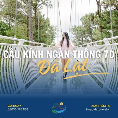 Cầu kính ngàn thông 7D Đà Lạt