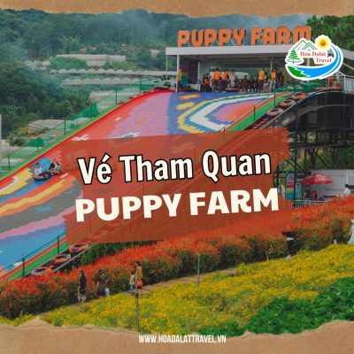 Vé tham quan Nông Trại Cún Puppy Farm Đà Lạt