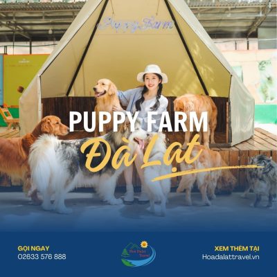 Puppy Farm Đà Lạt