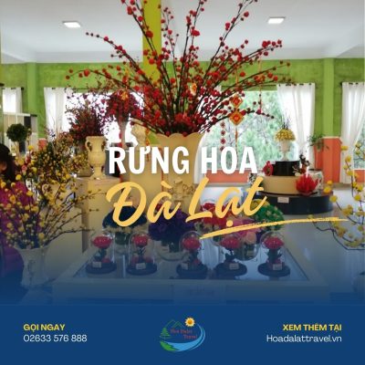 Rừng hoa Đà Lạt