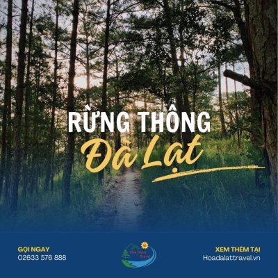 Rừng thông Đà Lạt